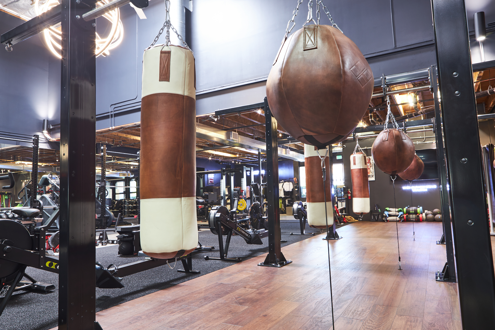 Virtual Boxing Workouts